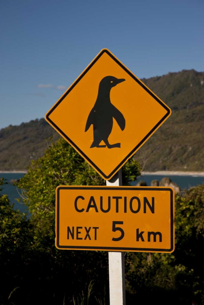 New Zealand, South Island Traffic warning sign art print by Don Grall for $57.95 CAD
