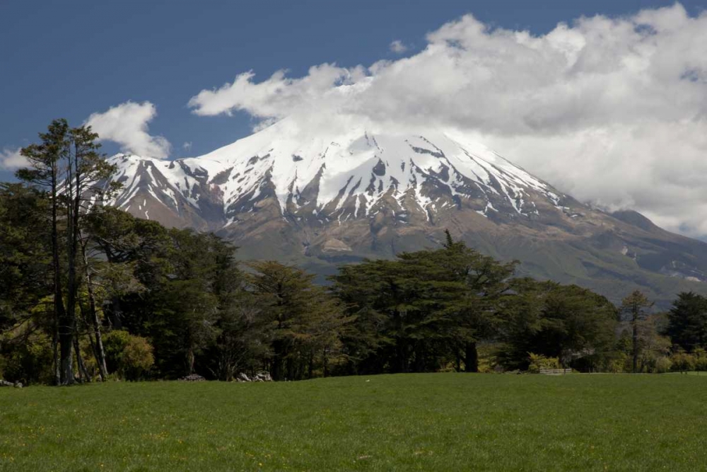 New Zealand, North Island Volcanic Mt Taranaki art print by Don Grall for $57.95 CAD