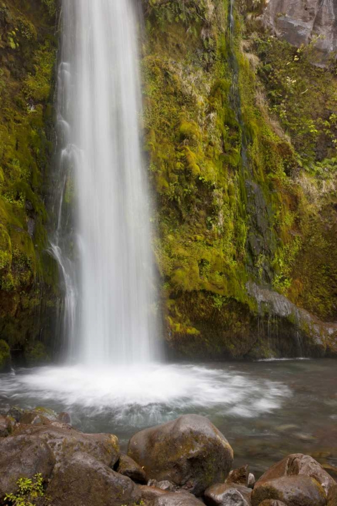 New Zealand, Taranaki Dawson Falls in Egmont NP art print by Don Grall for $57.95 CAD