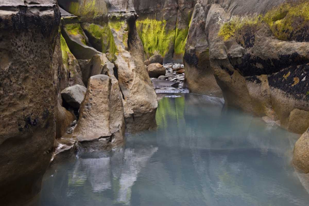 New Zealand, North Island Rocks at low tide art print by Don Grall for $57.95 CAD