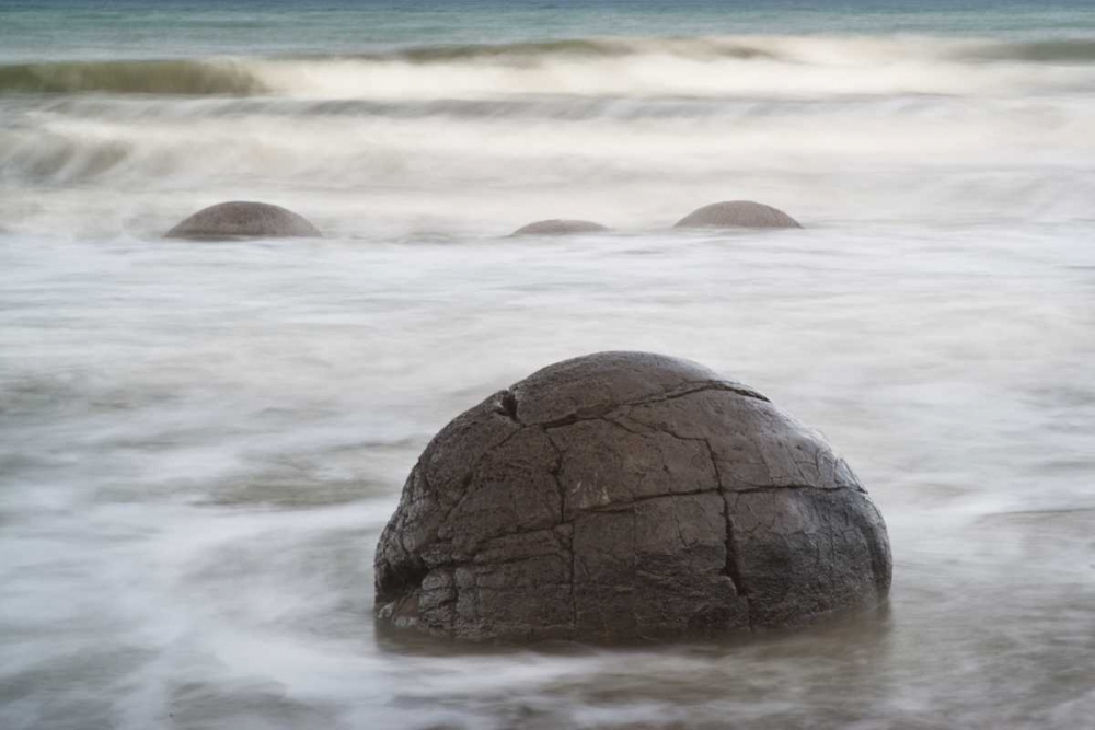 New Zealand, South Island, Moeraki boulders art print by Don Grall for $57.95 CAD