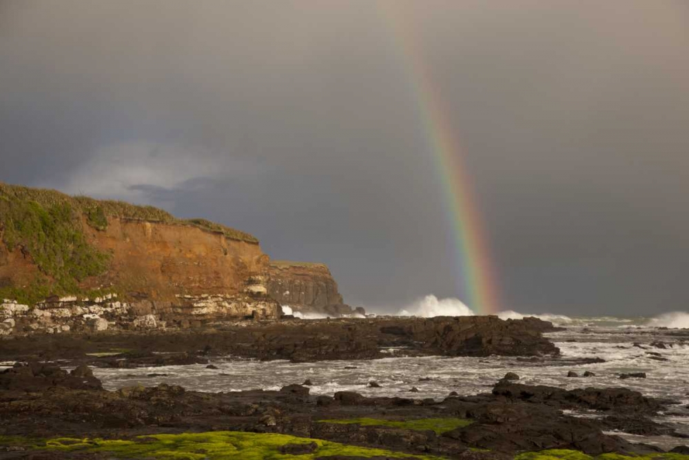 New Zealand, South Island Rainbow over Curio Bay art print by Don Grall for $57.95 CAD