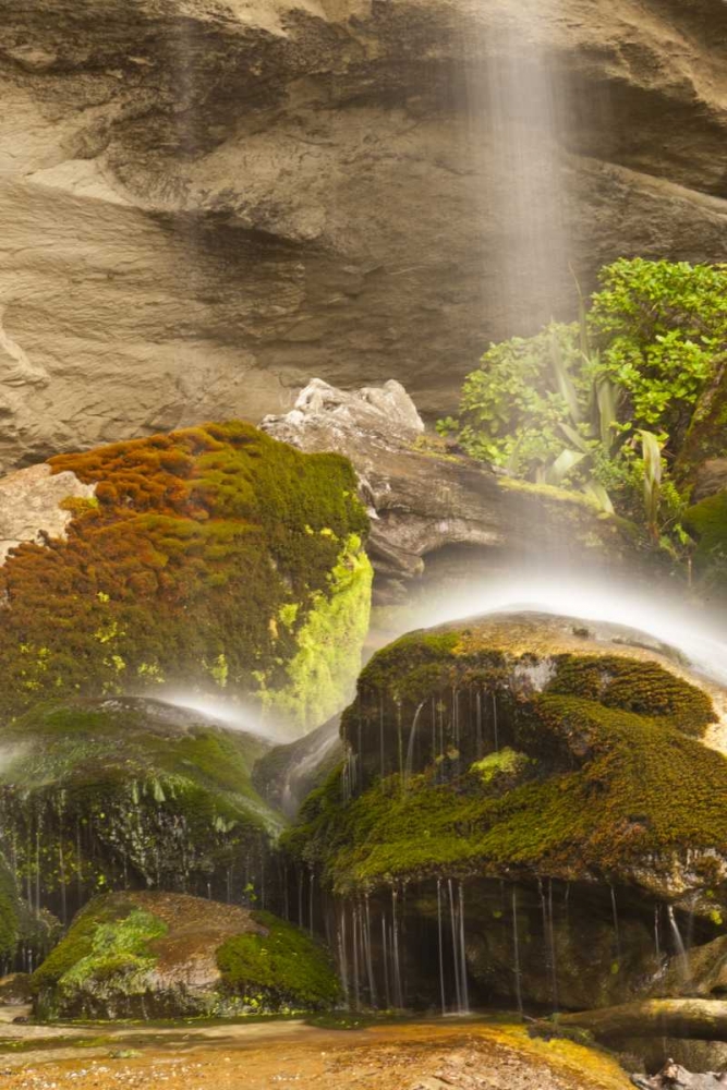 New Zealand, Paparoa NP Waterfall striking rocks art print by Cathy and Gordon Illg for $57.95 CAD