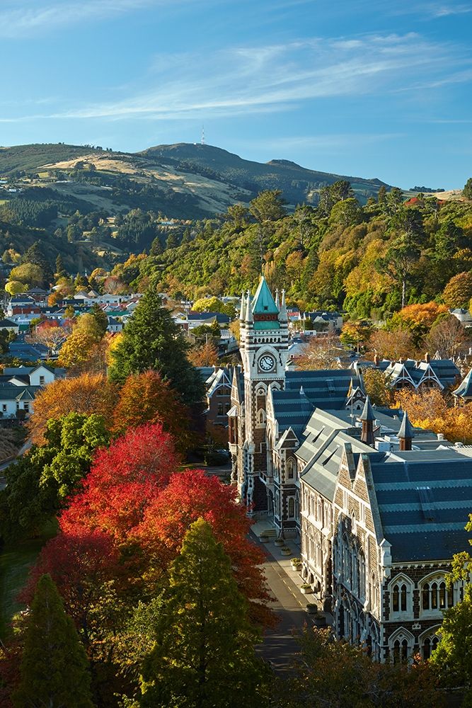Clock Tower-Registry Building-University of Otago in Autumn-Dunedin art print by David Wall for $57.95 CAD