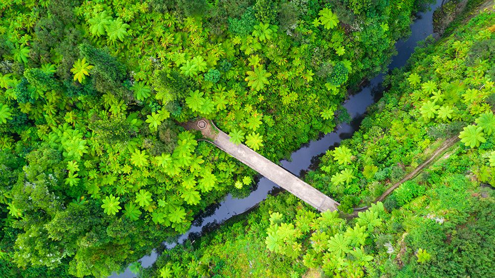 Retaruke-New Zealand. The Bridge to nowhere is a unique remote destination. art print by Micah Wright for $57.95 CAD