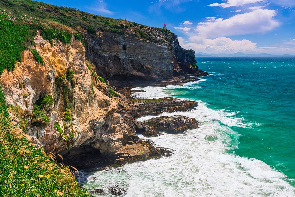 Harrington Point on the Otago Peninsula-Otago-South Island-New Zealand art print by Russ Bishop for $57.95 CAD