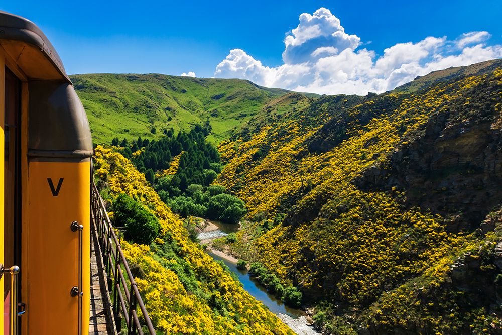 Dunedin Railways tour of the Taieri Gorge-Otago-South Island-New Zealand art print by Russ Bishop for $57.95 CAD