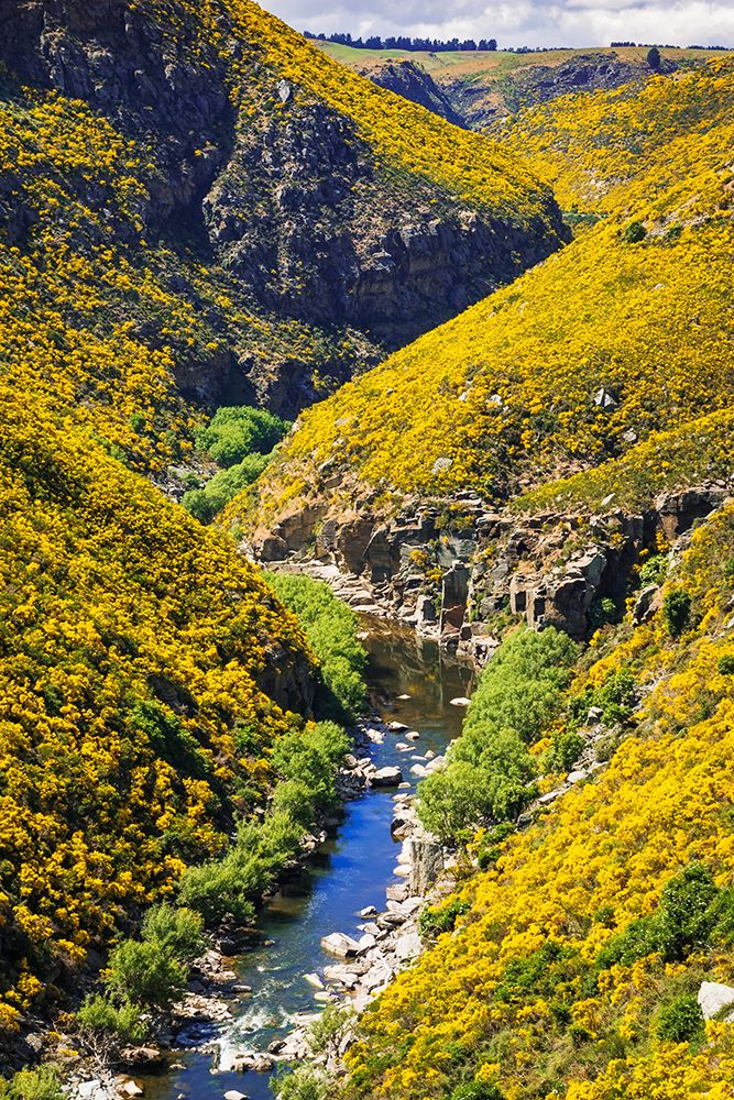 Dunedin Railways tour of the Taieri Gorge-Otago-South Island-New Zealand art print by Russ Bishop for $57.95 CAD