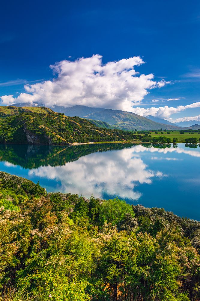 Glendhu Bay on Lake Wanaka-Otago-South Island-New Zealand art print by Russ Bishop for $57.95 CAD