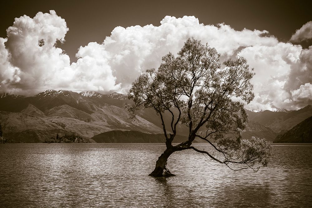 The Wanaka tree-Lake Wanaka-Otago-South Island-New Zealand art print by Russ Bishop for $57.95 CAD
