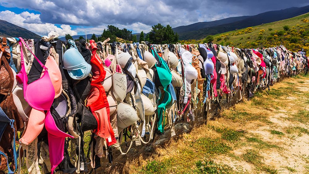 The Cardrona Bra Fence-Bradrona-supporting breast cancer-Otago-South Island-New Zealand art print by Russ Bishop for $57.95 CAD