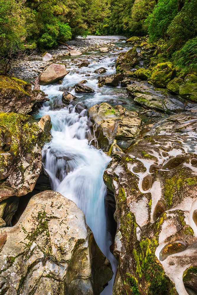 The Chasm-Fiordland National Park-South Island-New Zealand art print by Russ Bishop for $57.95 CAD