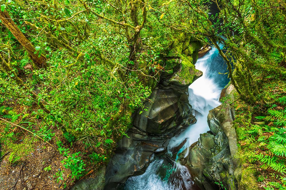 The Chasm-Fiordland National Park-South Island-New Zealand art print by Russ Bishop for $57.95 CAD