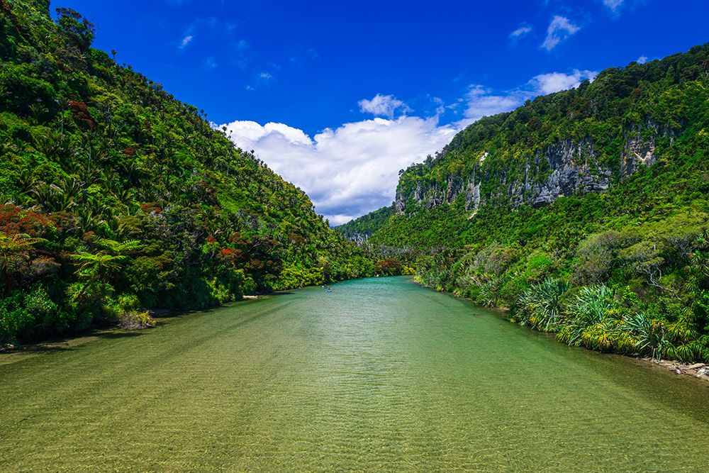 Kayaks on the Pororari River, Paparoa National Park, Punakaiki, New Zealand art print by Russ Bishop for $57.95 CAD