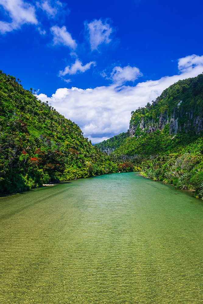 The Pororari River, Paparoa National Park, Punakaiki, New Zealand art print by Russ Bishop for $57.95 CAD