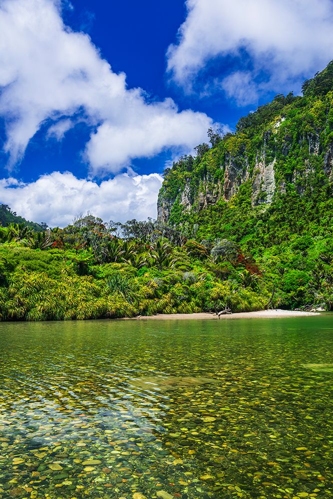 The Pororari River, Paparoa National Park, Punakaiki, New Zealand art print by Russ Bishop for $57.95 CAD