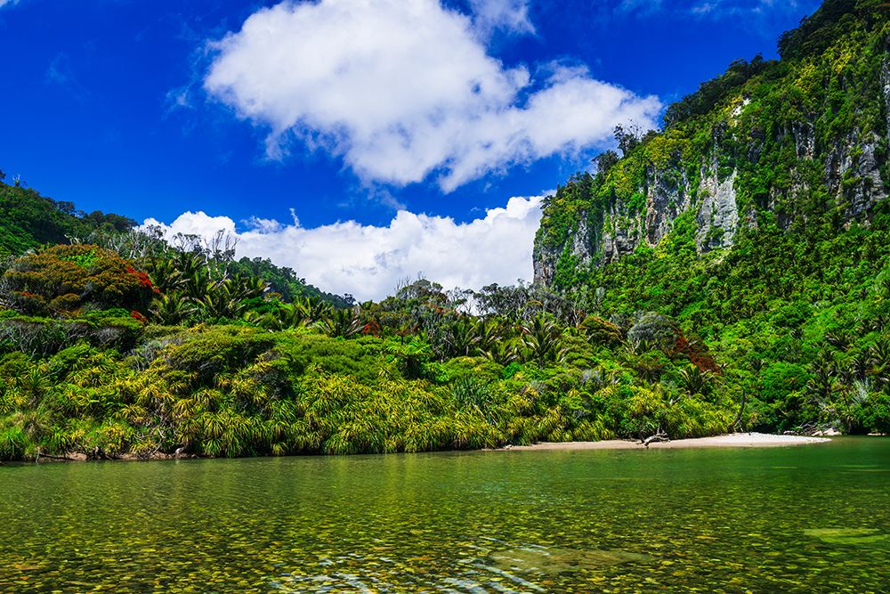 The Pororari River, Paparoa National Park, Punakaiki, New Zealand art print by Russ Bishop for $57.95 CAD