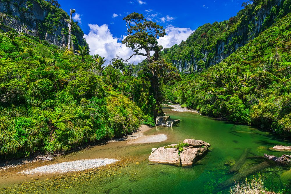 The Pororari River, Paparoa National Park, Punakaiki, New Zealand art print by Russ Bishop for $57.95 CAD