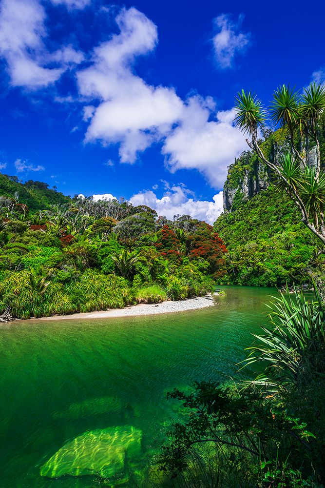 The Pororari River, Paparoa National Park, Punakaiki, New Zealand art print by Russ Bishop for $57.95 CAD