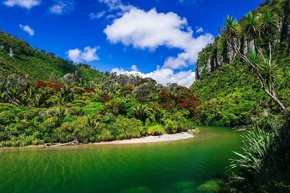 The Pororari River, Paparoa National Park, Punakaiki, New Zealand art print by Russ Bishop for $57.95 CAD