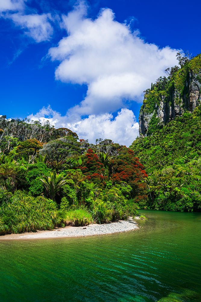 The Pororari River, Paparoa National Park, Punakaiki, New Zealand art print by Russ Bishop for $57.95 CAD