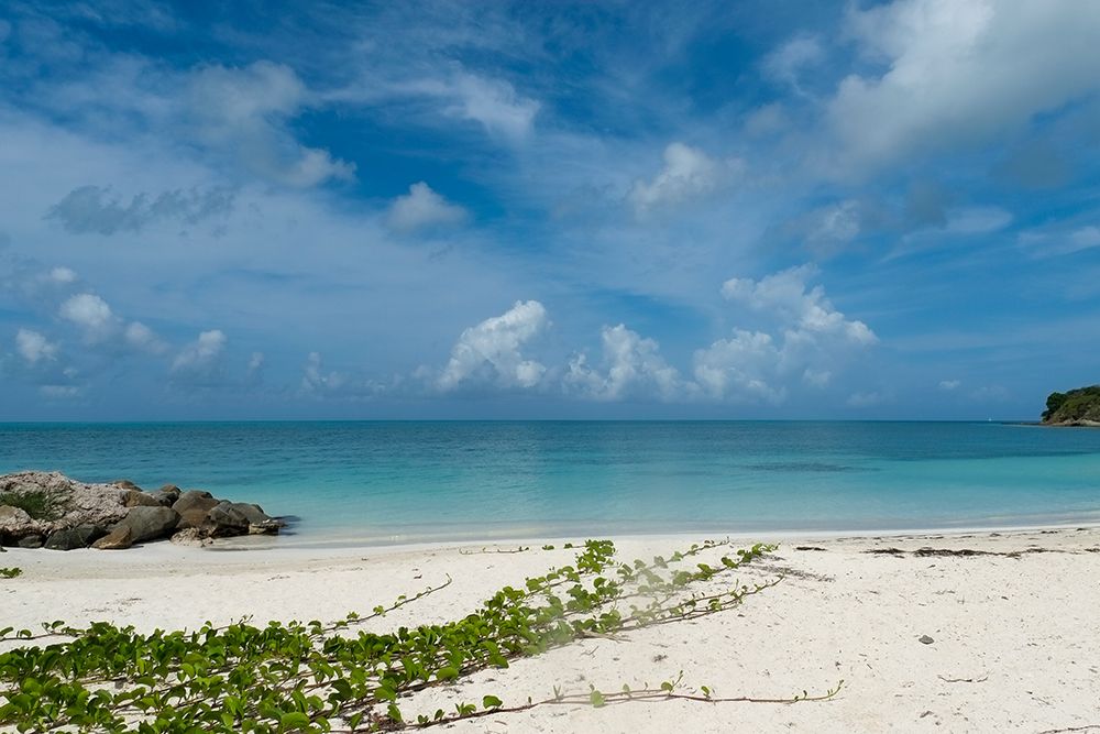 Antigua, West Indies. Beautiful pristine beaches. art print by Julien McRoberts for $57.95 CAD