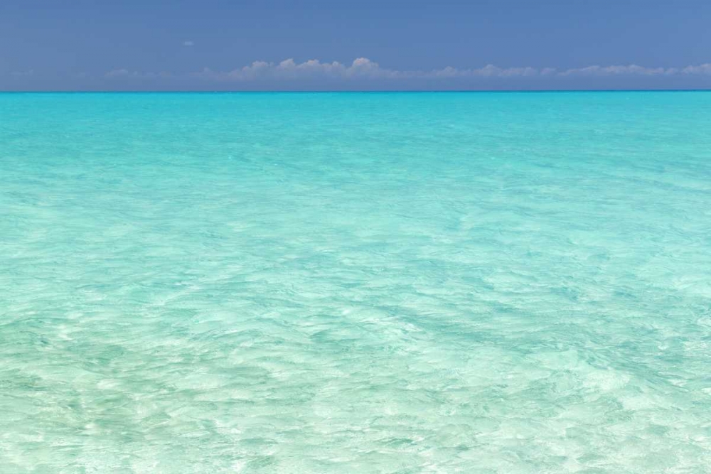 Bahamas, Little Exuma Island Aqua ocean water art print by Don Paulson for $57.95 CAD