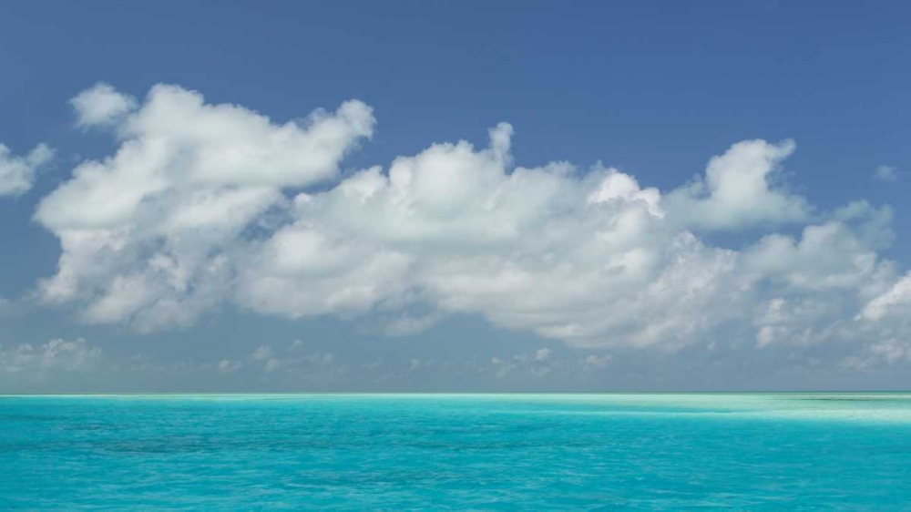 Bahamas, Exuma Island Seascape of aqua ocean art print by Don Paulson for $57.95 CAD
