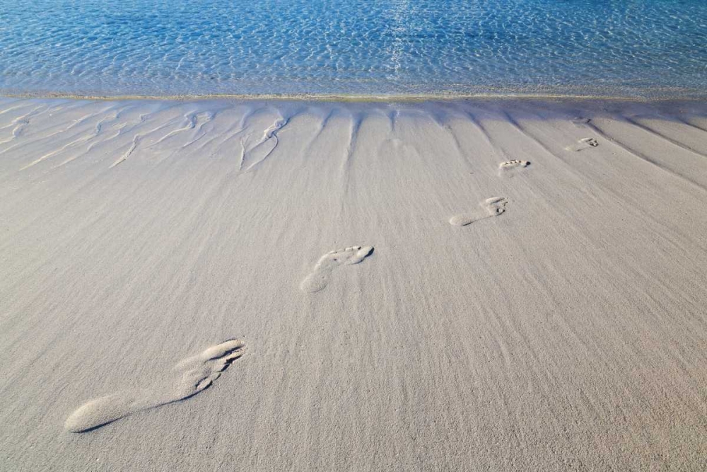 Bahamas, Exuma Island Sand footprints art print by Don Paulson for $57.95 CAD