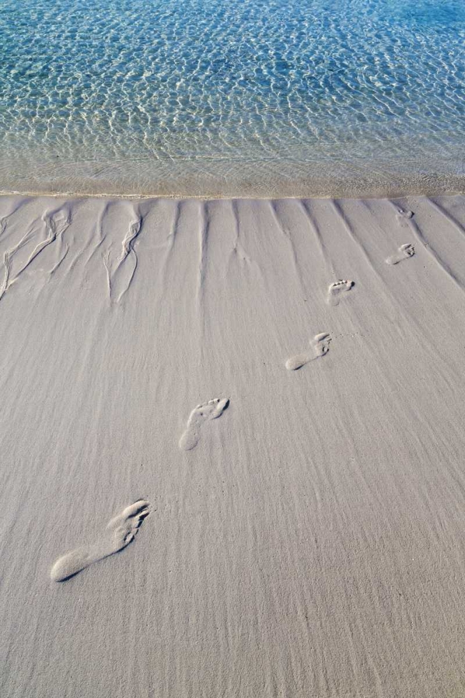 Bahamas, Exuma Island Sand footprints art print by Don Paulson for $57.95 CAD
