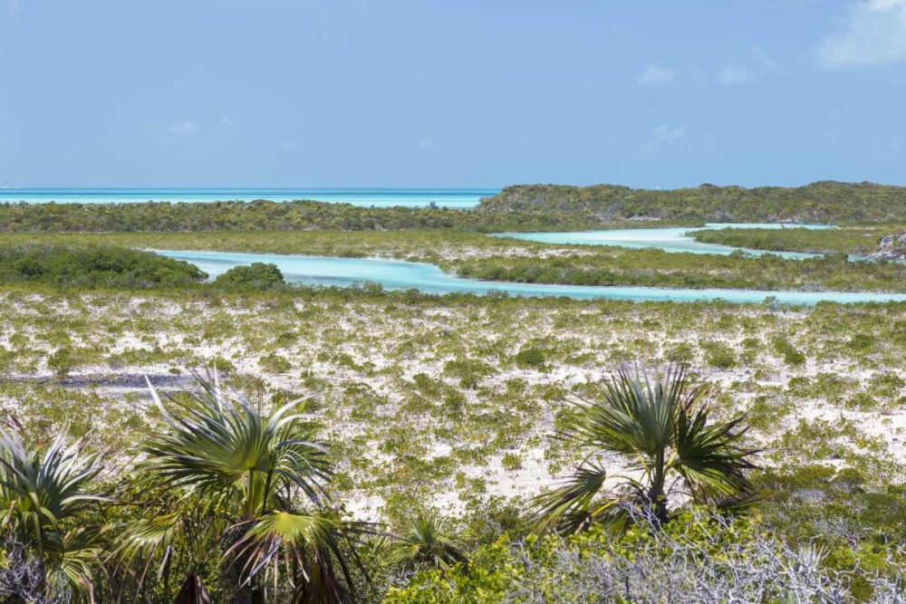 Bahamas, Exuma Island Shroud Cay scenic art print by Don Paulson for $57.95 CAD
