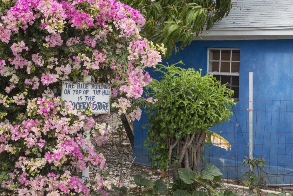 Bahamas, Exuma Island Bougainvillea and sign art print by Don Paulson for $57.95 CAD