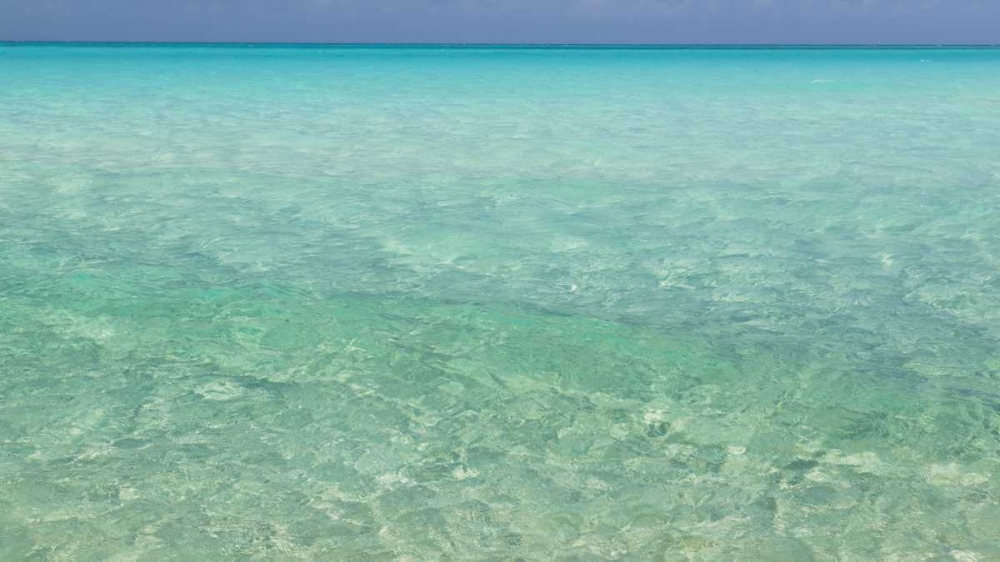 Bahamas, Exuma Island Seascape of Shroud Cay art print by Don Paulson for $57.95 CAD
