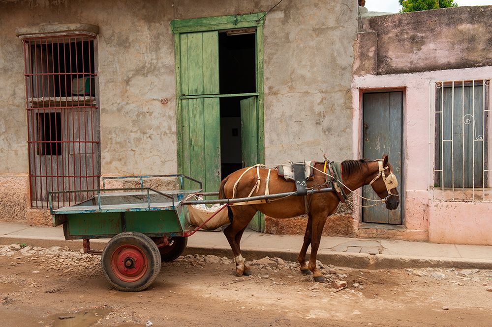 Trinidad, Cuba. An old horse in the streets of Trinidad. art print by Alison Wright for $57.95 CAD
