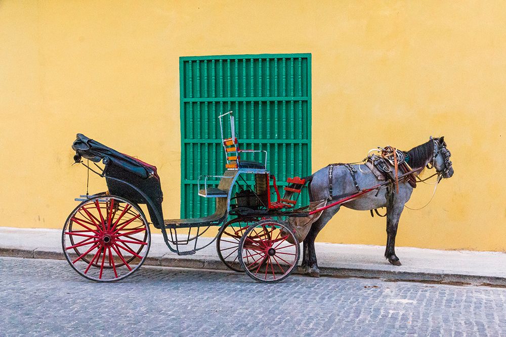 Cuba, Havana, Habana Vieja, horse drawn carriage. art print by Emily M. Wilson for $57.95 CAD
