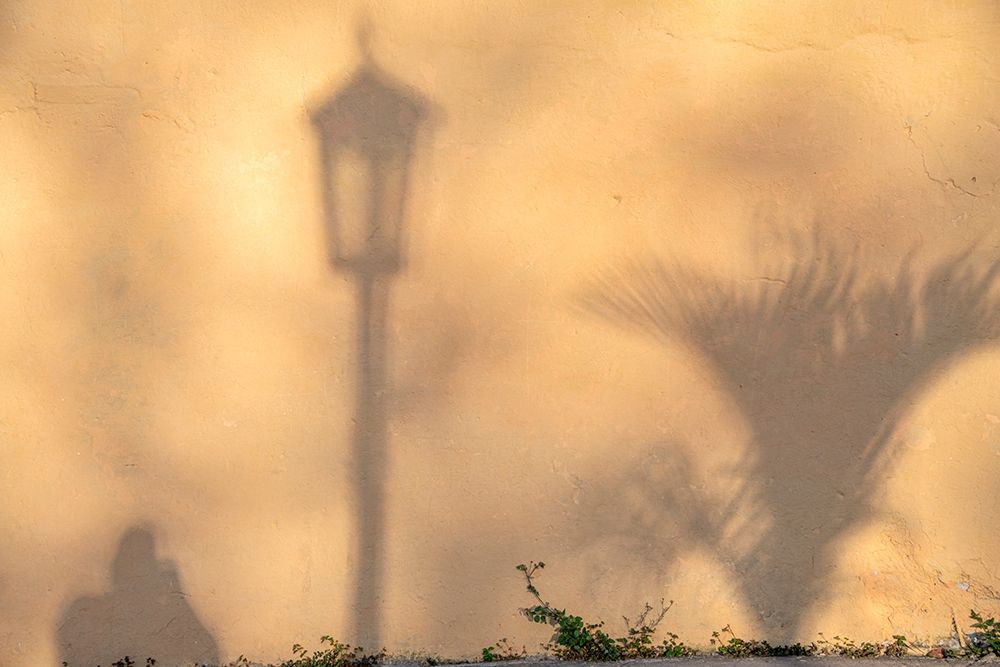 Early morning shadow of a man and lamppost and plant on house wall in Trinidad-Cuba art print by Janis Miglavs for $57.95 CAD