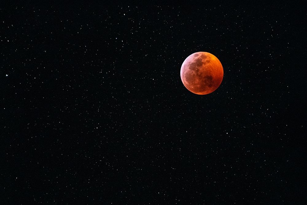 Total blood moon eclipse seen from Big Island-Hawaii art print by Janis Miglavs for $57.95 CAD