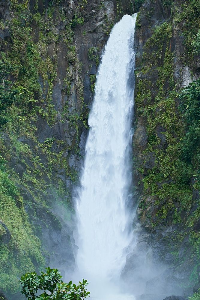Caribbean-West Indies-Dominica Island One of Dominicas most popular natural attractions art print by Karl Buhl for $57.95 CAD