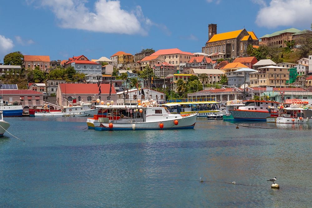 Caribbean-Grenada-St Georges Boats in The Carenage harbor art print by Jaynes Gallery for $57.95 CAD
