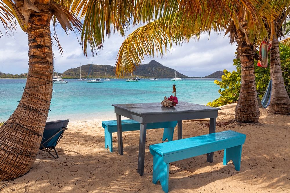 Caribbean-Grenada-Sandy Island Picnic table and hammock on beach art print by Jaynes Gallery for $57.95 CAD