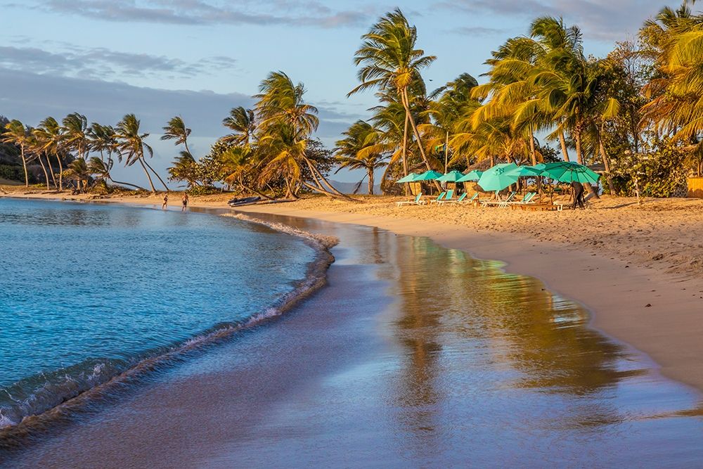 Caribbean-Grenada-Mayreau Island Beach umbrellas and lounge chairs art print by Jaynes Gallery for $57.95 CAD
