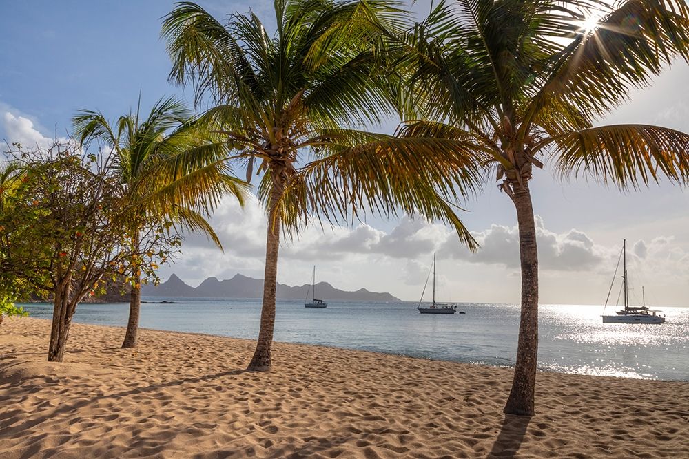 Caribbean-Grenada-Mayreau Island Sailboats at anchor off beach art print by Jaynes Gallery for $57.95 CAD