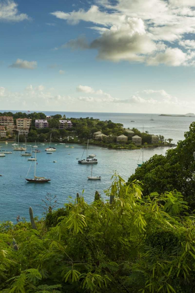 Caribbean, USA Virgin Islands, St John Cruz Bay art print by Cathy and Gordon Illg for $57.95 CAD
