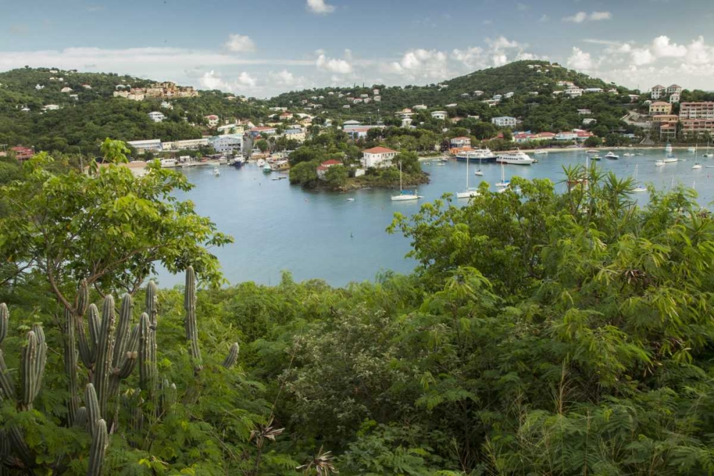 Caribbean, USA Virgin Islands, St John Cruz Bay art print by Cathy and Gordon Illg for $57.95 CAD