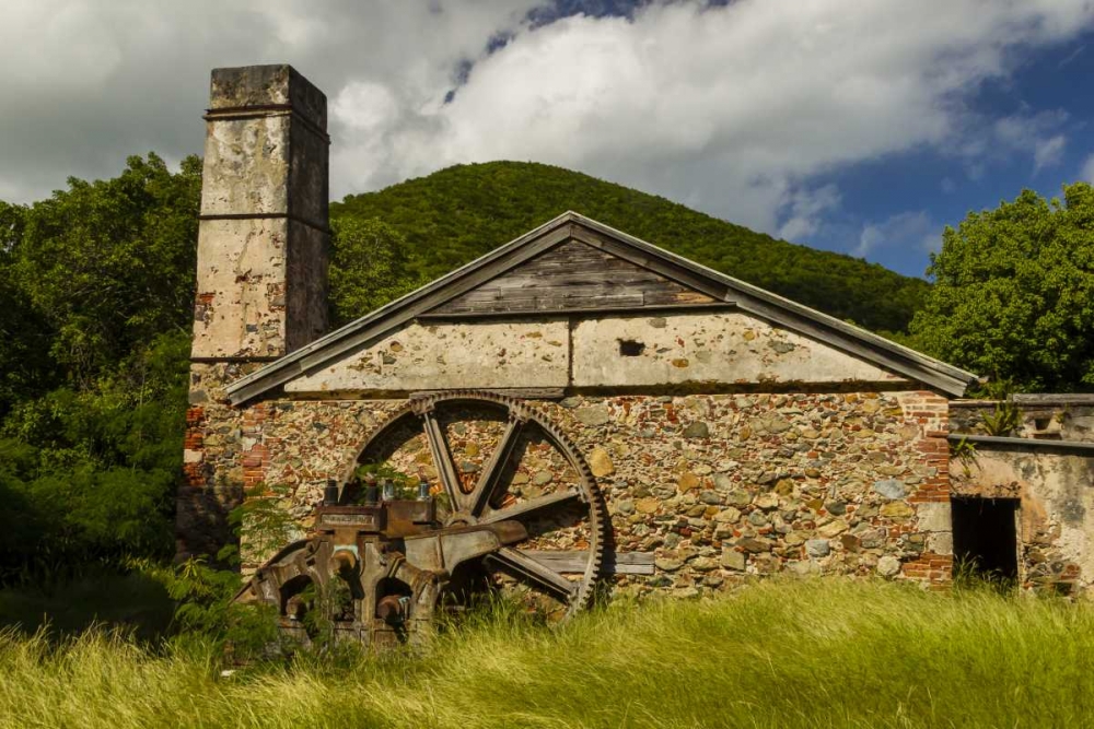 USA Virgin Islands, St John Ruins of sugar mill art print by Cathy and Gordon Illg for $57.95 CAD