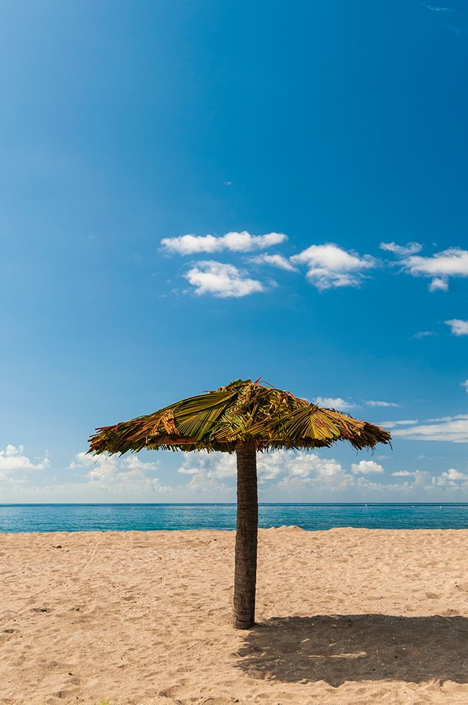 A tiki umbrella on a palm tree trunk on Pinneys white sand beach Nevis Island-West Indies art print by Sergio Pitamitz for $57.95 CAD