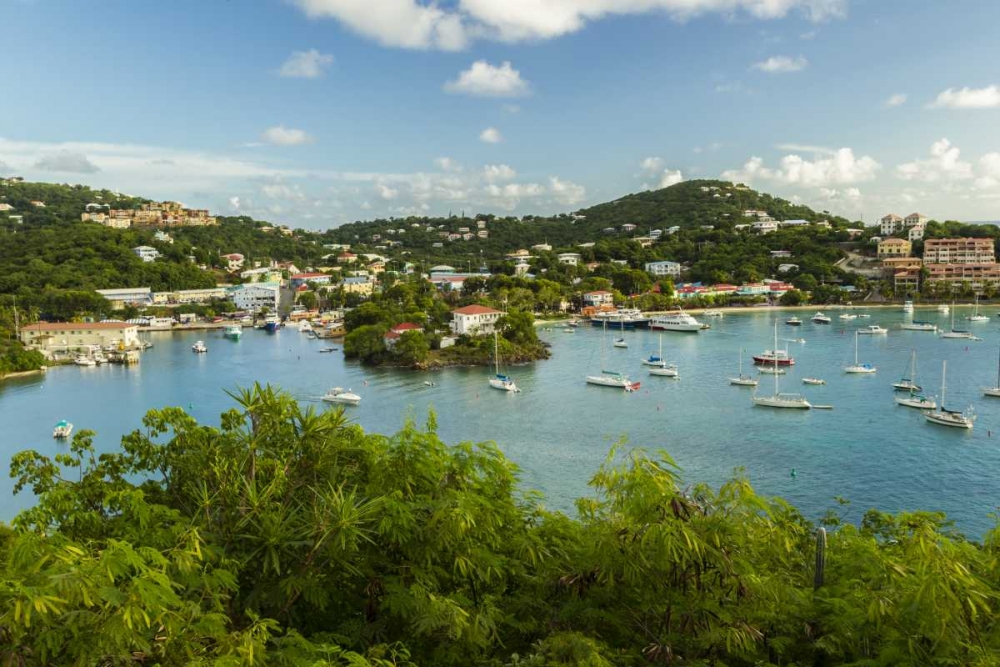 Caribbean, USA Virgin Islands, St John Cruz Bay art print by Cathy and Gordon Illg for $57.95 CAD