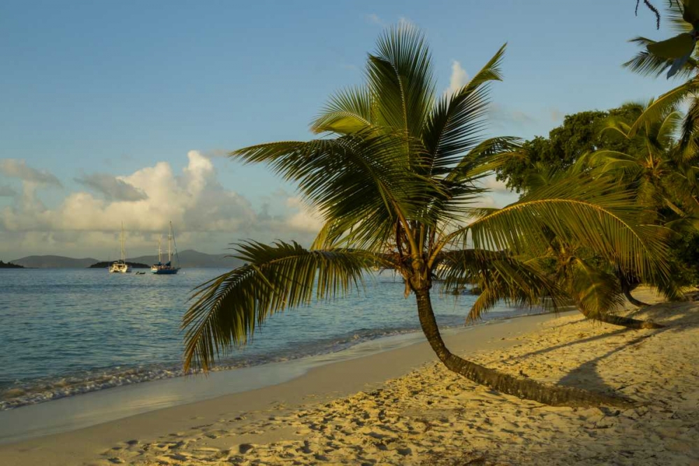 Caribbean, USA Virgin Islands Beach scenic art print by Cathy and Gordon Illg for $57.95 CAD