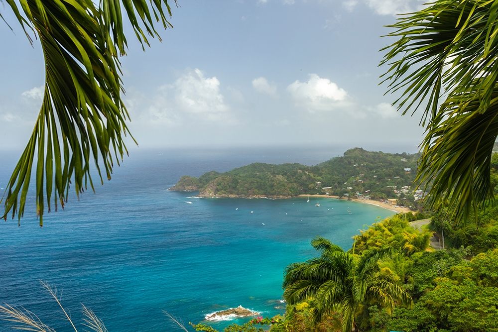Caribbean-Tobago Castara Bay ocean beach and jungle landscape art print by Jaynes Gallery for $57.95 CAD
