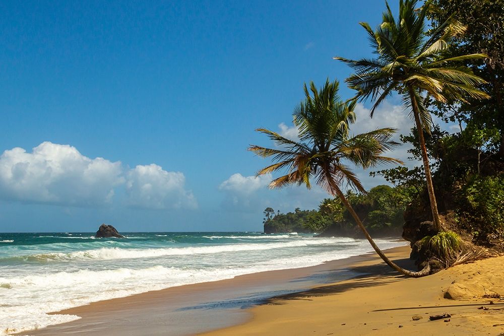 Caribbean-Trinidad-Blanchisseuse Bay Beach and ocean landscape art print by Jaynes Gallery for $57.95 CAD
